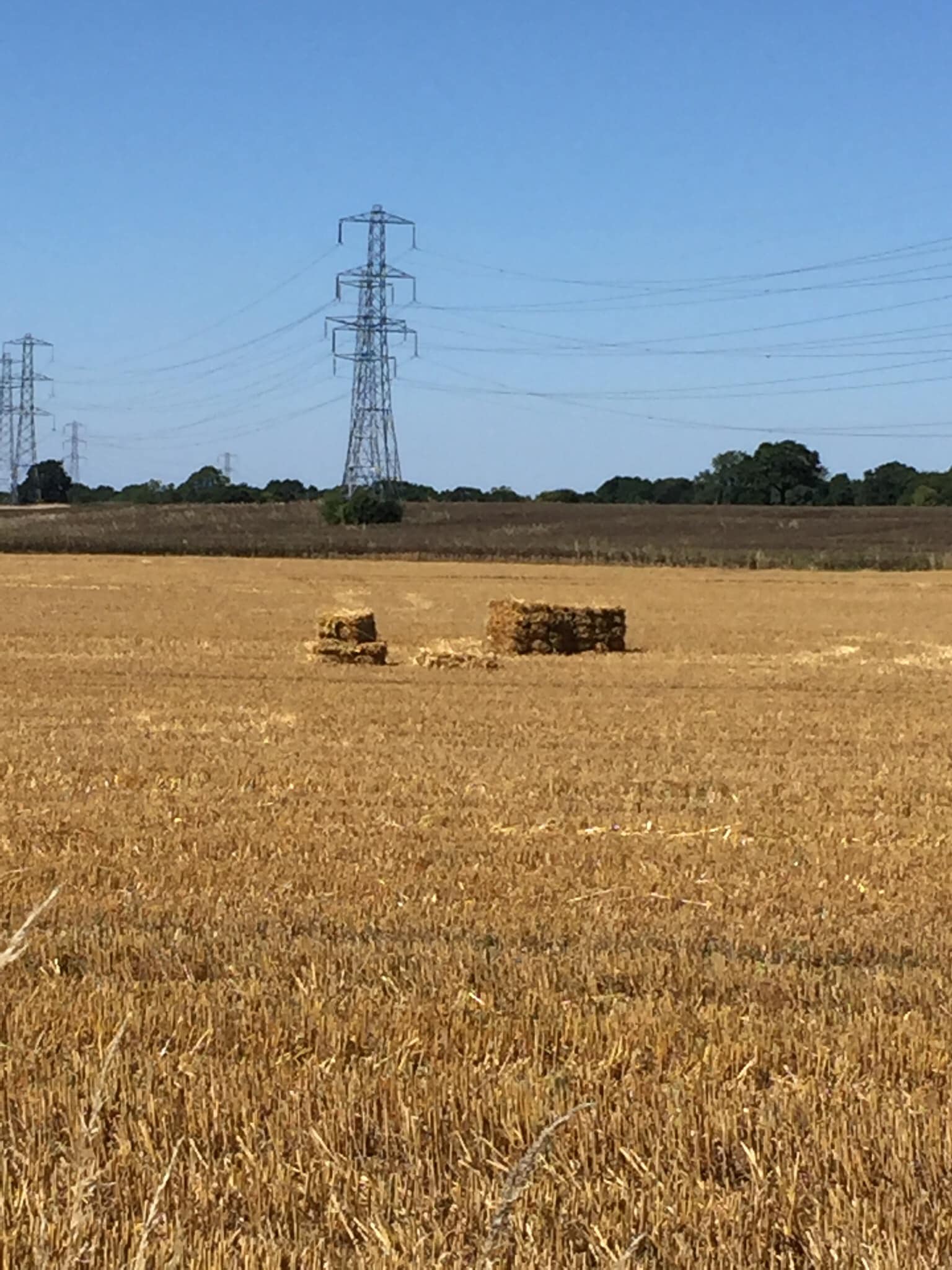 Have your say! Linthouse Lane.Green Belt. Phil Bateman Online