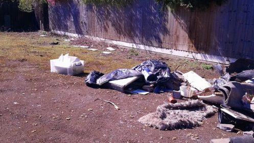Fly-Tipping and Other Issues Sandy Crescent